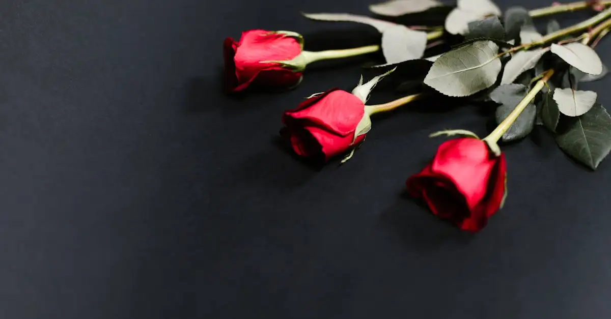 Blumen Geschenkideen: Die schönsten Blumen für jeden Anlass