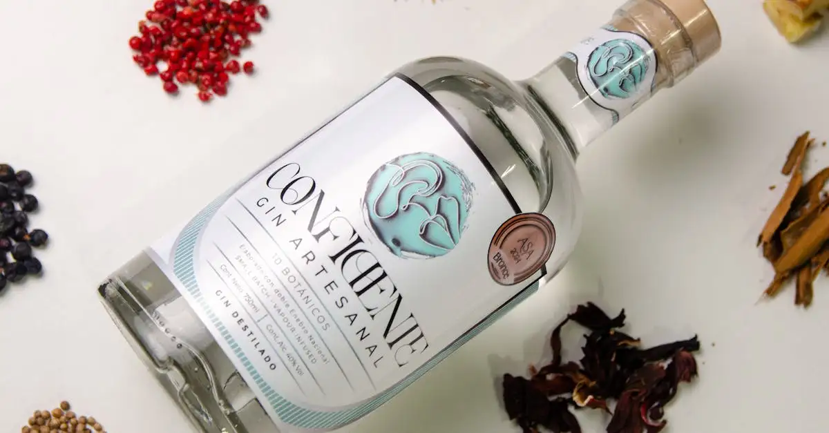 Gin Box Geschenk: Exklusive Auswahl für Genießer kaufen