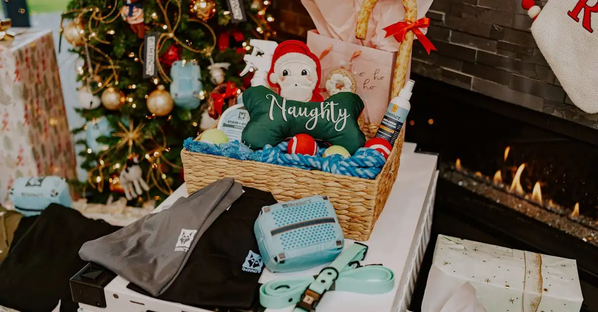 Exklusive Geschenke für den Welpenclub: Freude schenken
